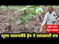        srt farm  profitable farming  shivar news 24