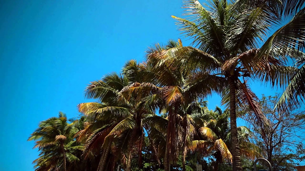 peanuts in spanish Adventure Awaits: San Juan