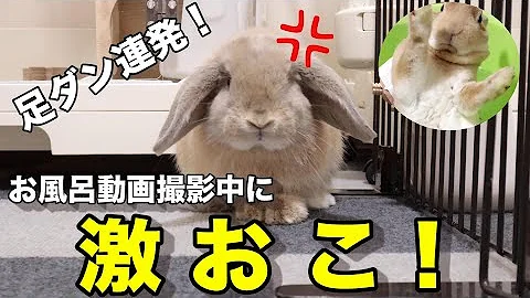 ガラスのうさぎ 入浴 Mp3