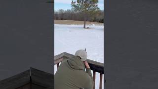 Ruger 10/22 Banish 22 suppressor