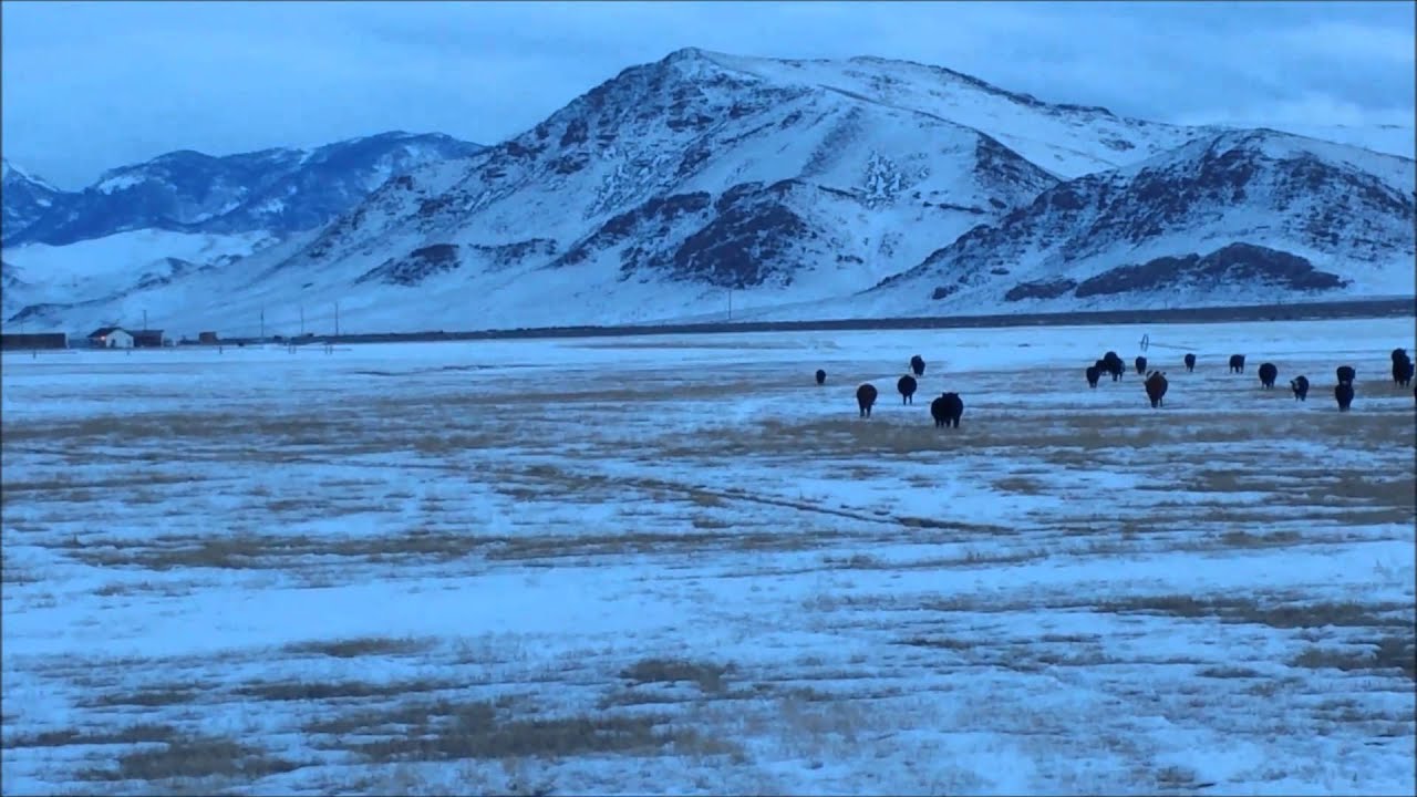 January at Alderspring