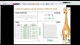 Linear Equations using Multiple Representations