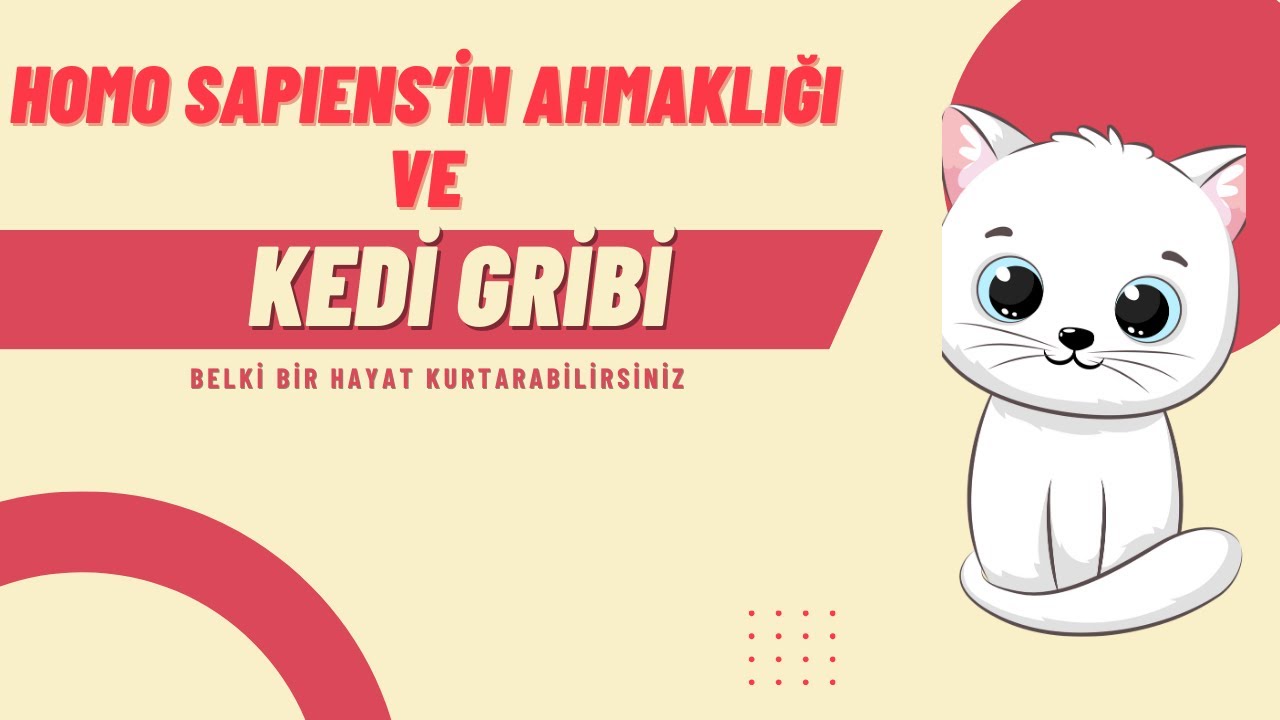 KEDİ GRİBİ HAKKINDA NE BİLİYORSUNUZ?