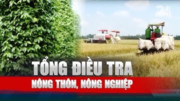 Những điểm đặc biệt trong cuộc tổng điều tra nông thôn, nông nghiệp năm 2025 | VTV24