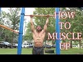 How To Muscle Up For Beginners in 5 Minutes Tutorial