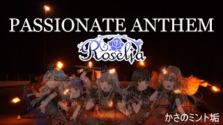 【ヲタ芸】PASSIONATTE ANTHEM【山口勢】