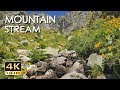 4K Mountain Stream - Relaxing Water Sounds - No Birds - Ultra HD Nature Video - Sleep/ Study/ Yoga