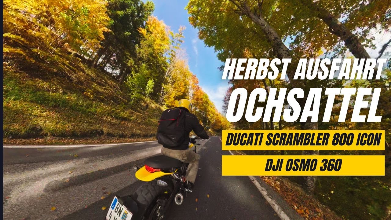 Ducati Scrambler 800 Icon | Ochsattel Autumn Cruise POV | DJI Osmo 360
