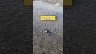POV: You try to get your shoe back from a crab 🦀 #fail #funny
