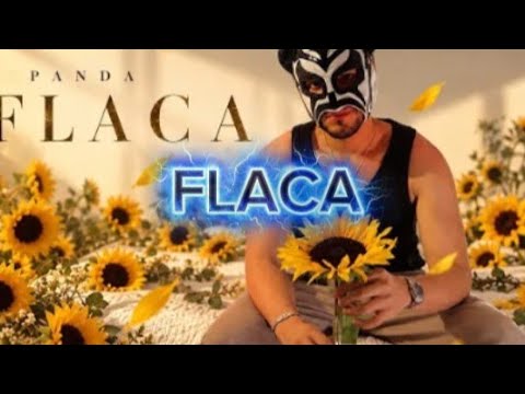 FLACA - PANDA (LETRA Y KARAOKE)