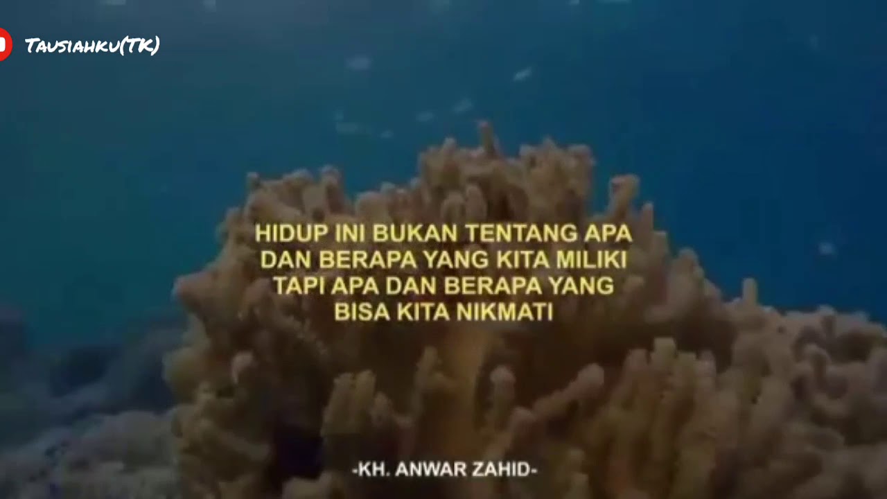 Penyejuk hati - YouTube