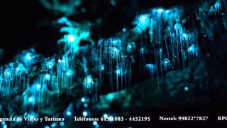 Cueva de las luces (Waitomo, Nueva Zelanda)