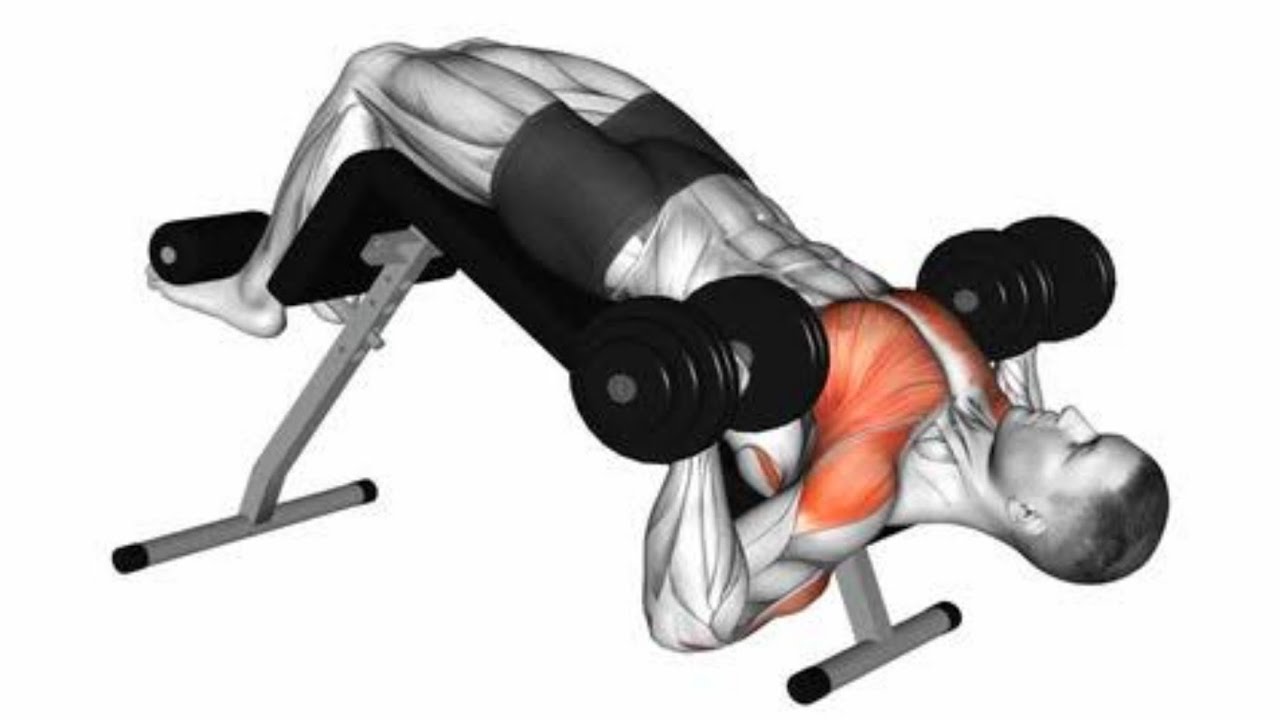 Dumbbell Exercises for Explosive Muscle Growth. YouTube