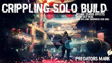 The Division | Insane Predators Mark Build | Solo & Team Support