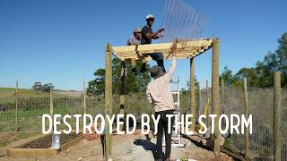 Setbacks & Rebuilds | Storm Damage, Pergola Roof, Braai Build & Fruit Trees