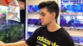 Buying TINY *COLORFUL* Fish FOR 10G AQUARIUM FISH TANK!!
