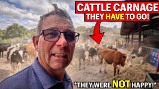 We Have TOO MANY Cattle At The Farm - TIME TO GO!