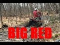 Putting the BIG RED to work MUDDING