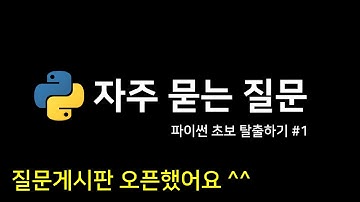 파이썬 초보 탈출하기 #1 | 물어보기