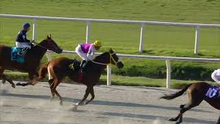 Vidéo de la course PMU PRIX CURRA