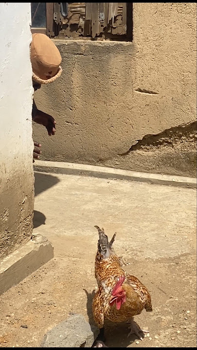 ayaaaaaa hee #comedy #comedyfilms #funny