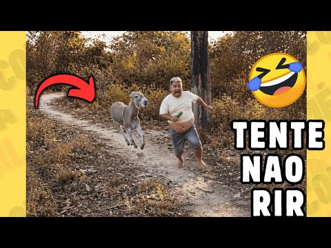 DESAFIO⚠️ TENTE NÃO RIR 🤣 | MELHORES memes e VÍDEOS ENGRAÇADOS 2026 🔥 #memes #comedia #115 