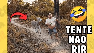 DESAFIO⚠️ TENTE NÃO RIR 🤣 | MELHORES memes e VÍDEOS ENGRAÇADOS 2026 🔥 #memes #comedia #115  screenshot 4