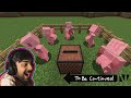 Minecraft Meme MUTAHAR laugh - Dancing PIGS PART 60