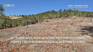 Settlers in Syria's Afrin cut down hundreds of trees