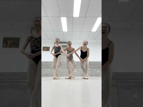 Trying Out The Little Swan Ballet Ballet Dance Dancerlife Ballerina Swanlake Balletdancer