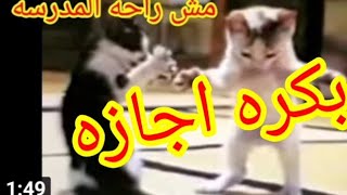 فرحه الطلبه لما المدير يقول بكره اجازه رسميه😂😂😂💃💃واحلي رقصه للقطه