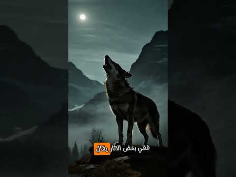 لماذا يخاف الشيطان من هذه الحيوانات الثلاثة  لماذا يخاف الشيطان من هذه الحيوانات الثلاثة