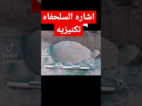 إشارة السلحفاة باحث الكنوز والاثآر