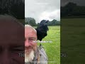 Crows Are Smarter Than 2nd Graders! 🐦‍⬛