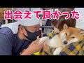 柴犬リコと出会った経緯