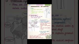 👉Hip Complex Biomechanics | Capsulo-ligamentous Tension | Structural adaptations to weight- bearing✨