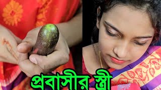 প্রবাসী স্ত্রীর শেষ পরিণতি যা হলো অতঃপর