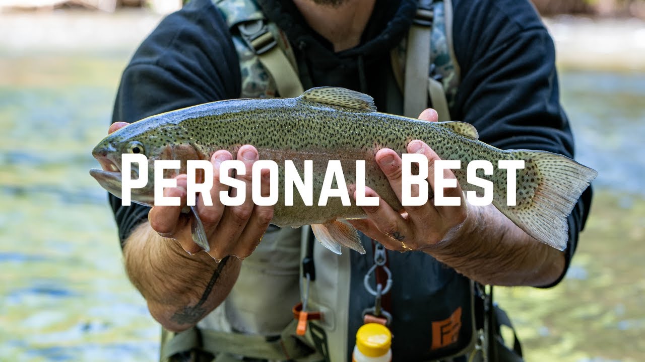 North Georgia Fly Fishing: My Personal Best Rainbow Trout!