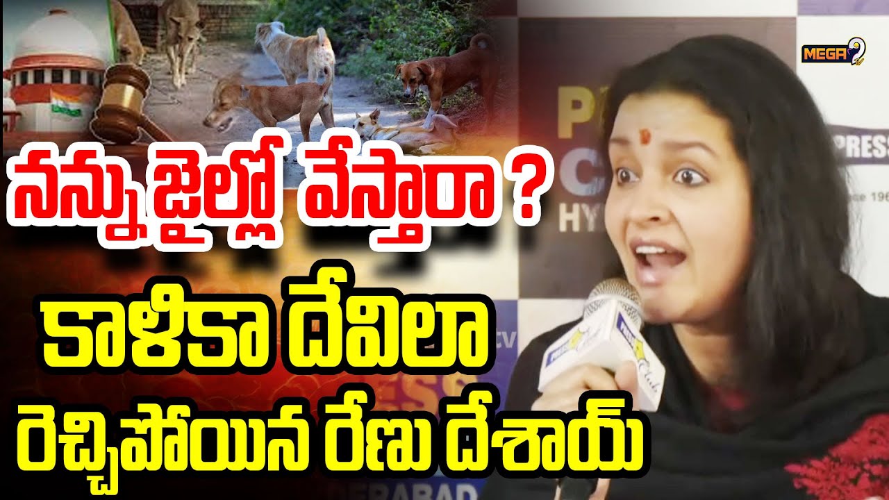 కాళికా దేవిలా రెచ్చిపోయిన రేణు దేశాయ్...| Renu Desai Fire on Supreme Court |Mega9tv