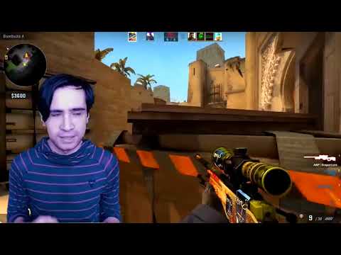 პროვოკატორის რეპი ქაუნთერის მოთამაშესა და ალექს რეის შეყვარებულის შესახებ