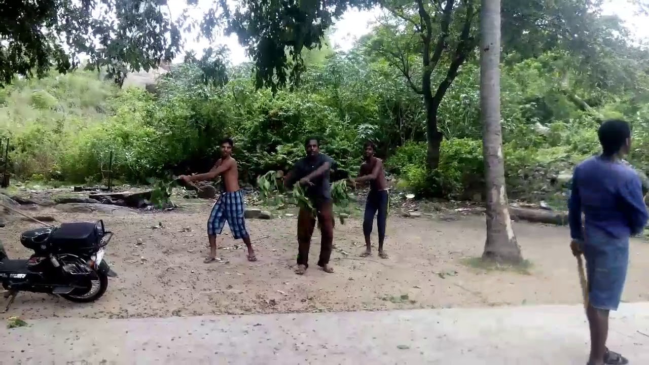 Sangi mango dance