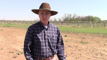 Gathering Good Soil Samples