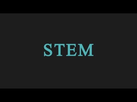 全英語科學課程【 STEM 】