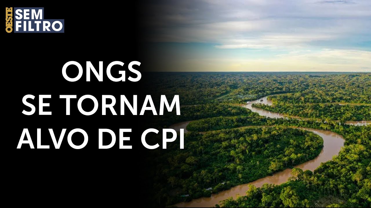 CPI vai investigar repasse de recursos públicos a ONGs na Amazônia | #osf