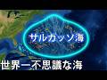 恐るべきサルガッソ海 — 岸のない海