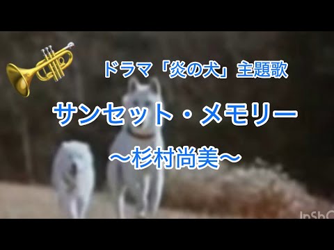 サンセット・メモリー〜杉村尚美〜
