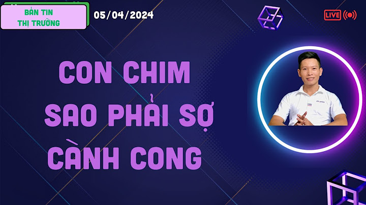 Chim phải đạn sợ cành cong là gì năm 2024