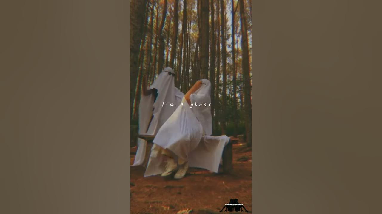 Confetti Ghost Lyrics YouTube