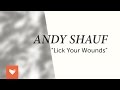 Andy Shauf - Lick Your Wounds