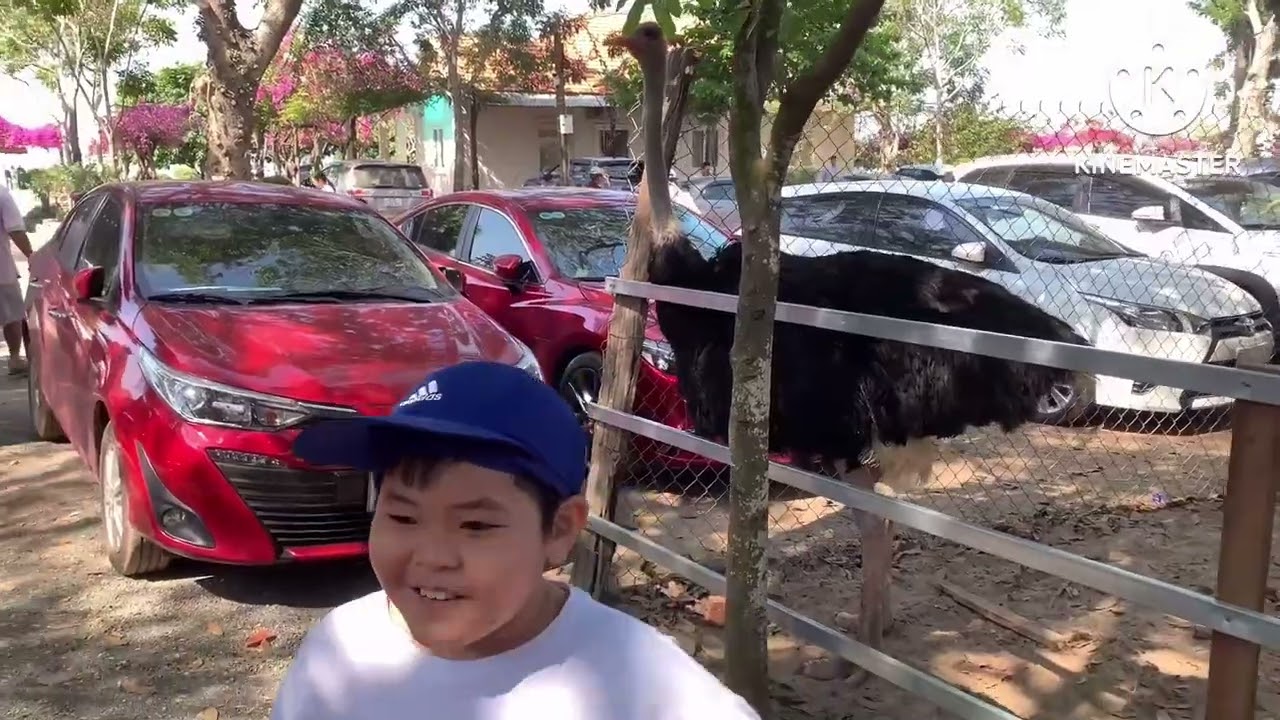 Lk Căn nhà ngoại ô, trả lại em, xin em đừng khóc vu quy…